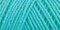 Caron One Pound Aqua Yarn - 2 Pack of 454g/16oz - Acrylic - 4 Medium (Worsted) - 812 Yards - Knitting/Crochet